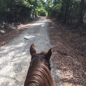 Meet your Posher, Vicky